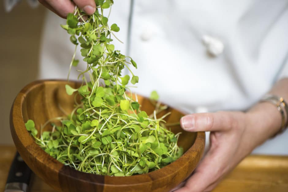 Wildflower Chef sprouts
