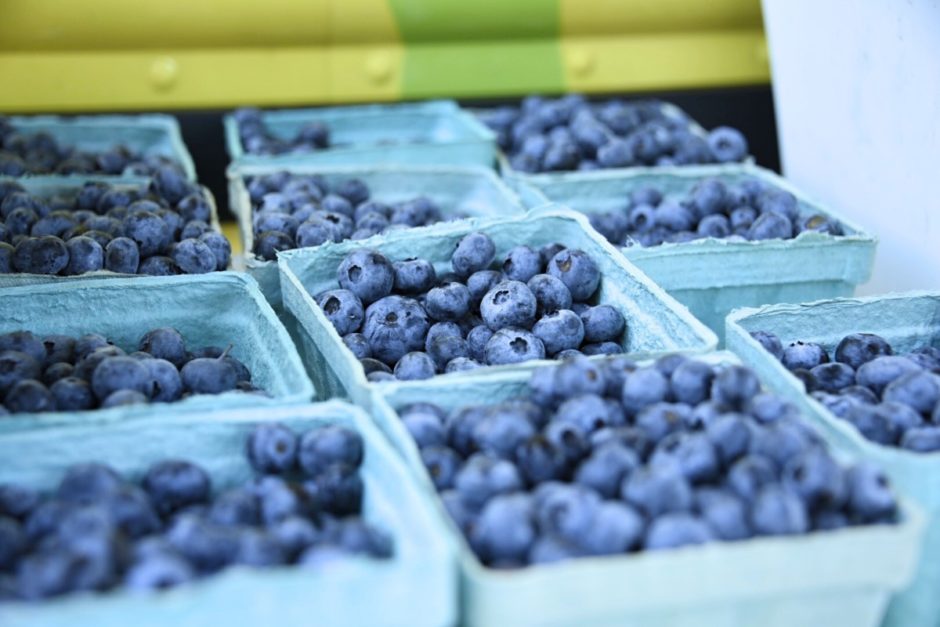 Fresh2You blueberries
