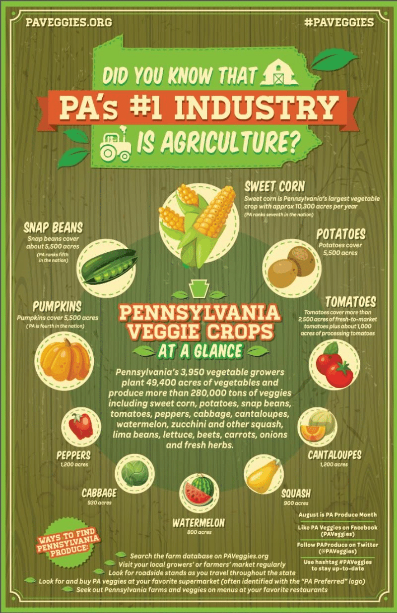 PA Veggies Infographic