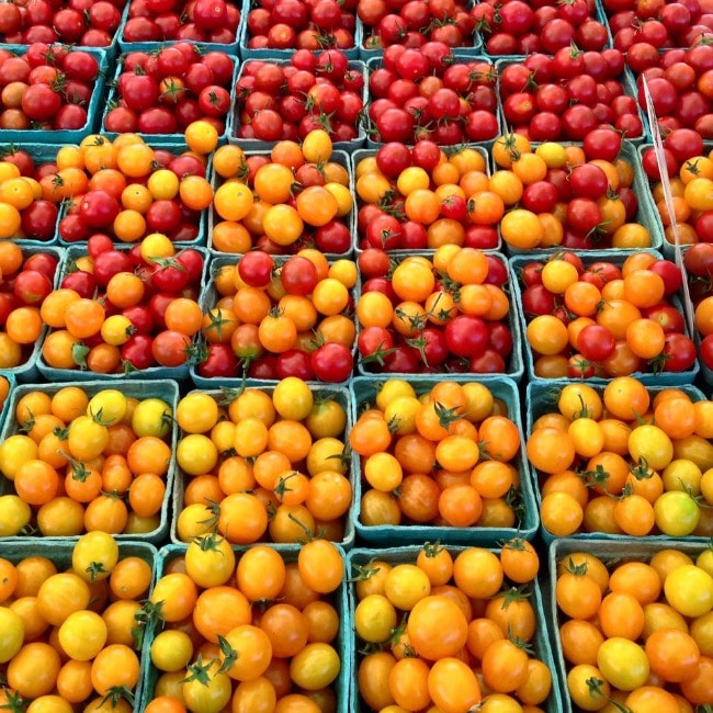 West Chester Growers Market tomatoes