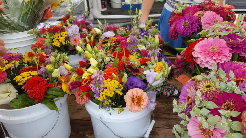 West Chester Growers Market schaeffers flowers