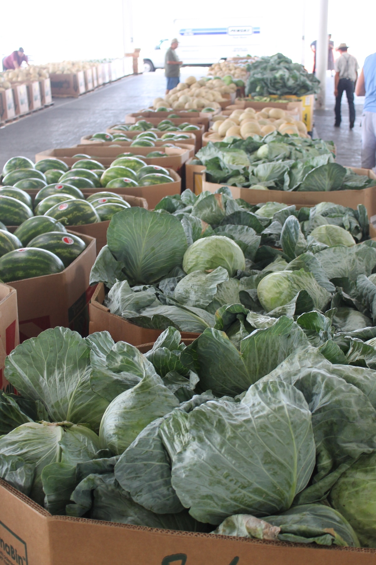 Chester County Food Bank Always Wins Big at Produce Auction — PA Eats
