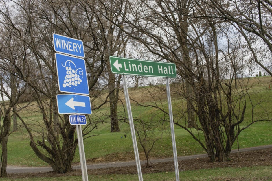 winery-road-trip-alexandra-whitney