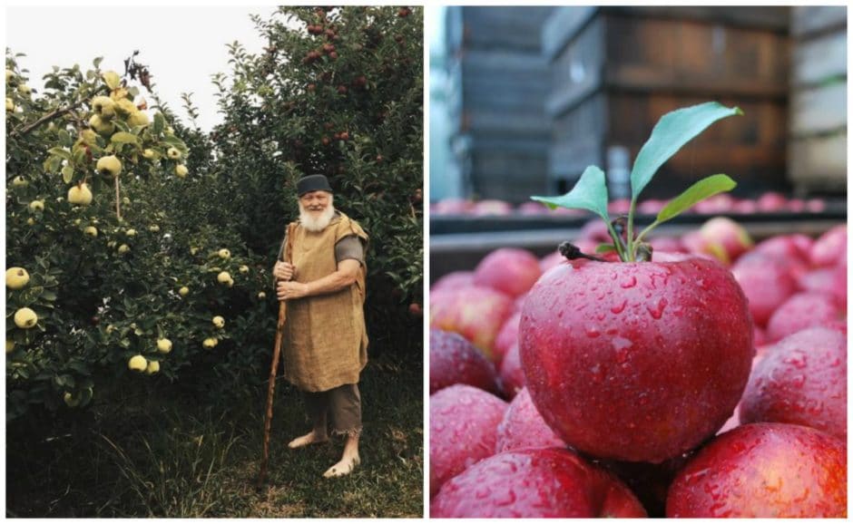 weavers johnny appleseed collage