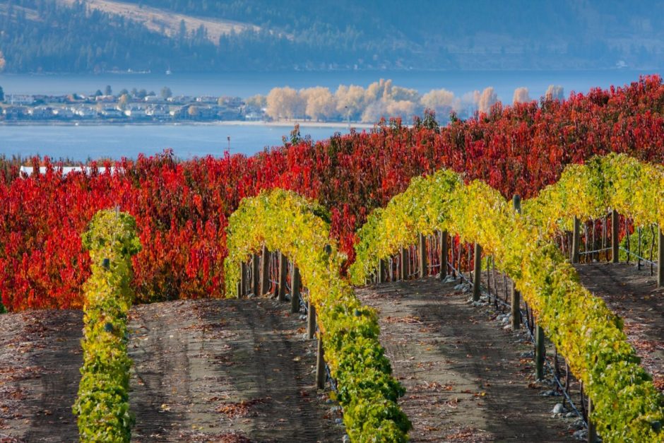 adventuresmith-fall-foliage-1