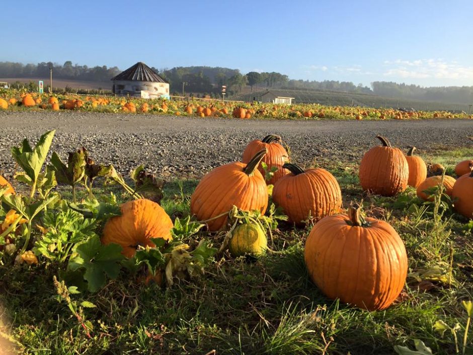 grim's-orchard-and-family-farms