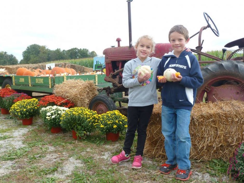 hausman's-fruit-farm