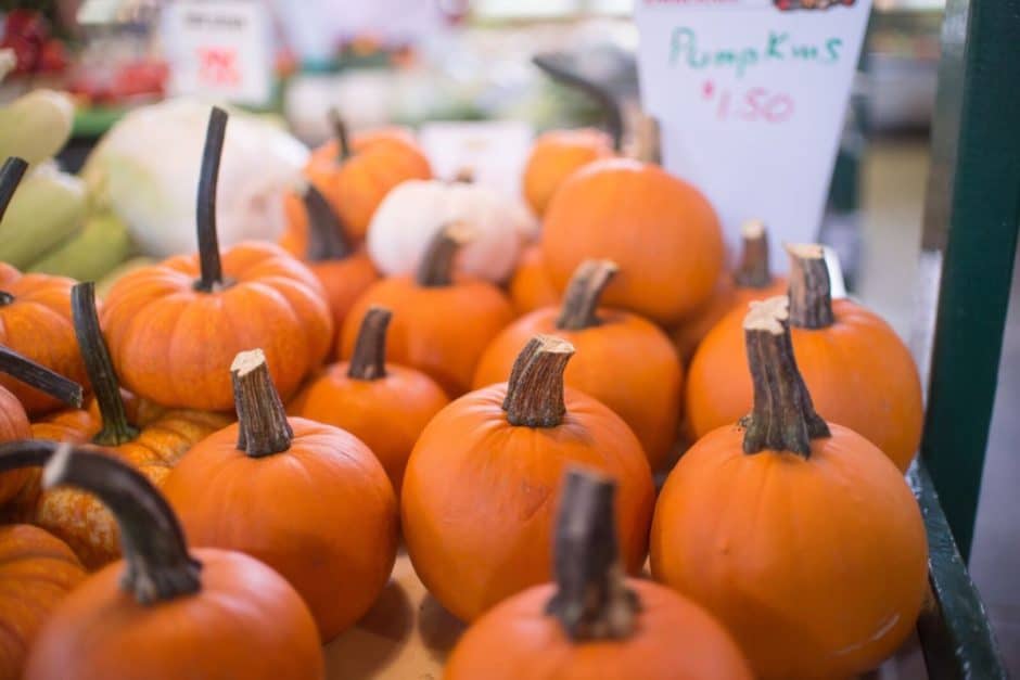 york-central-market-pumpkins