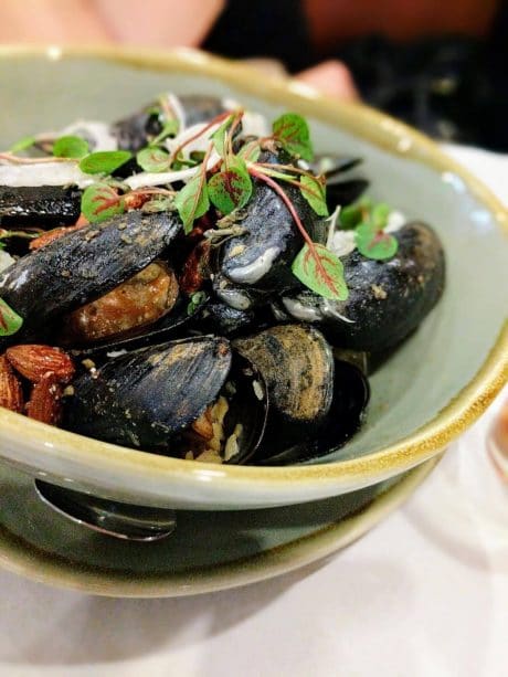 EatNic mussels
