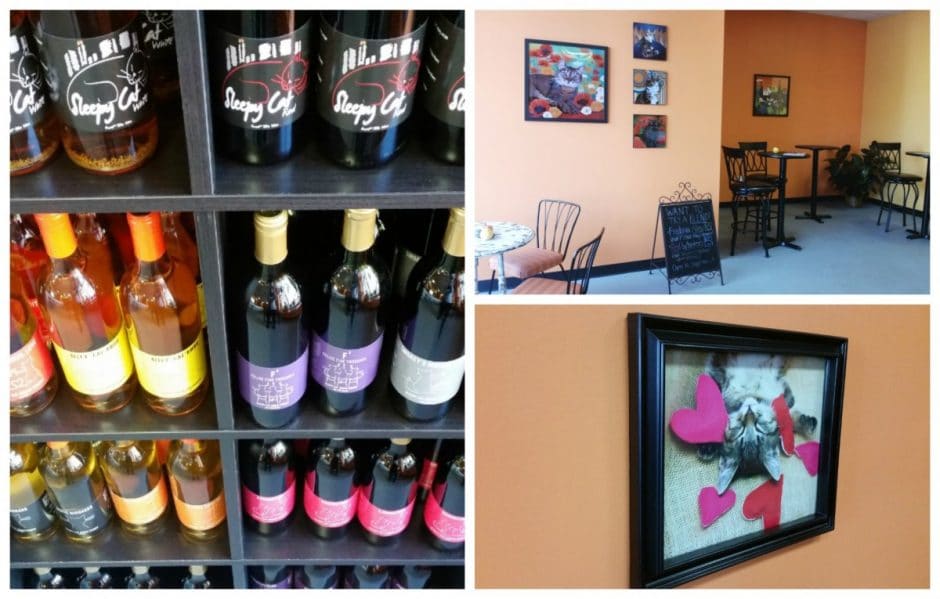 sleepy-cat-urban-winery-collage
