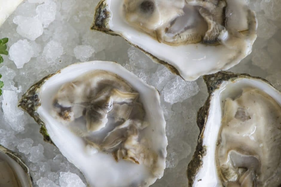 Oysters