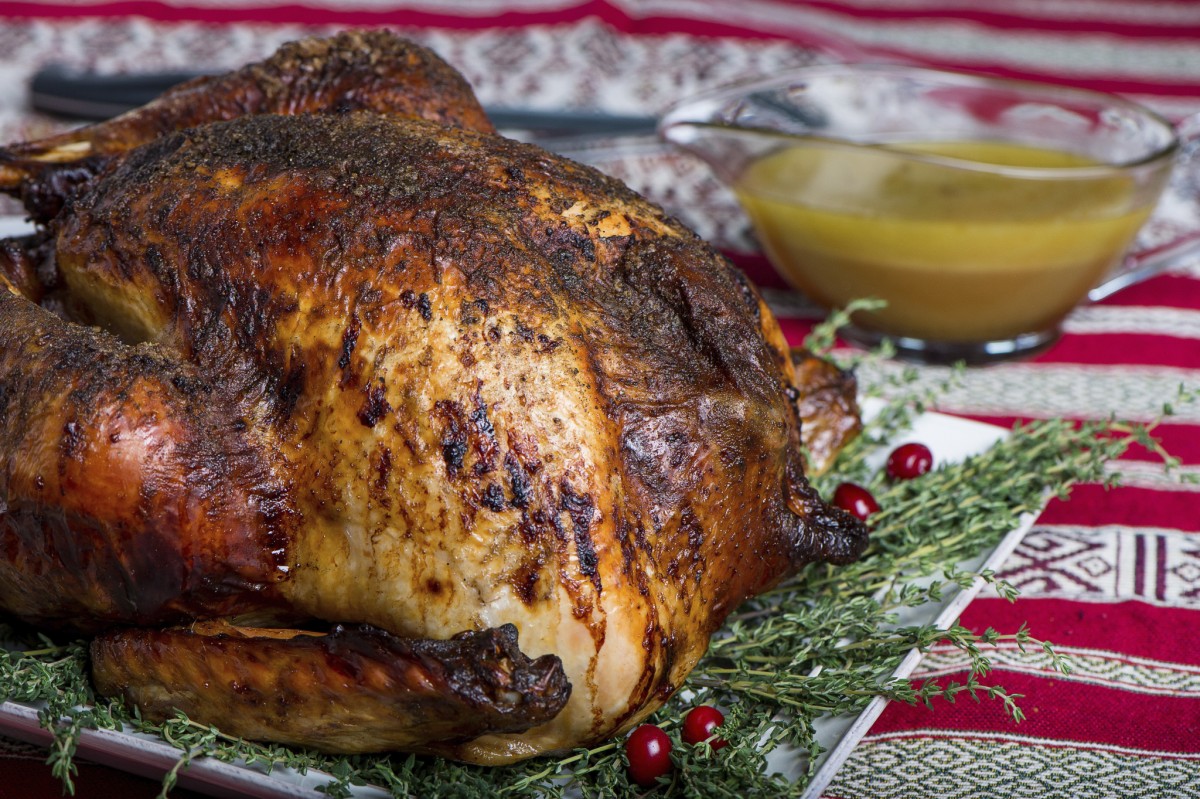turkey-alexandra-whitney-photography