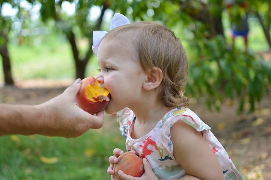 Weaver's Orchard