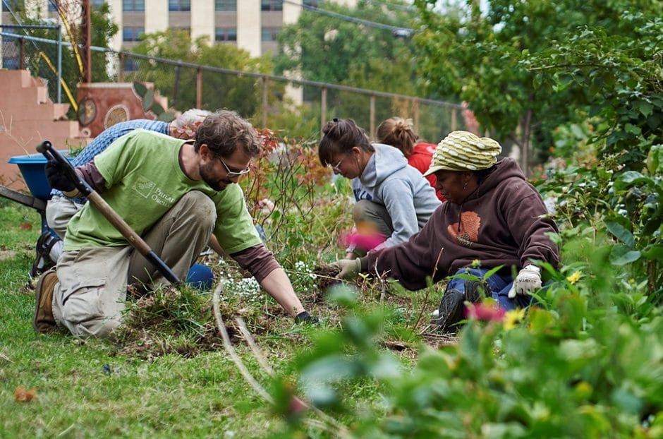 Philadelphia Orchard Project