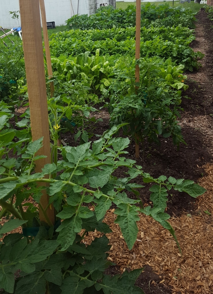 Mason Dixon Distillery