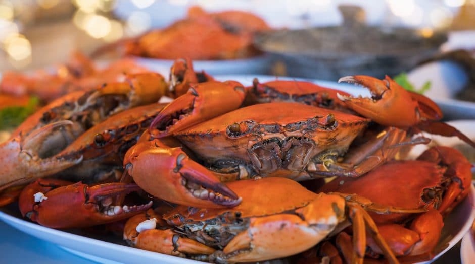 Kid Shelleen's Crab Feast