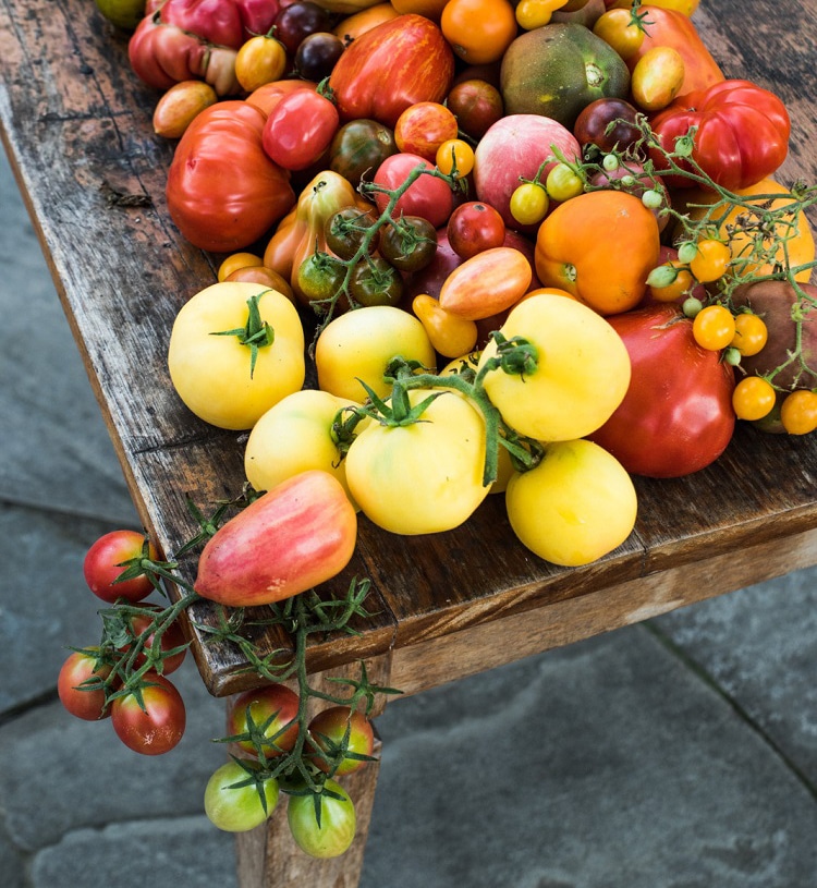 Happy Cat Farm heirloom tomato dinner