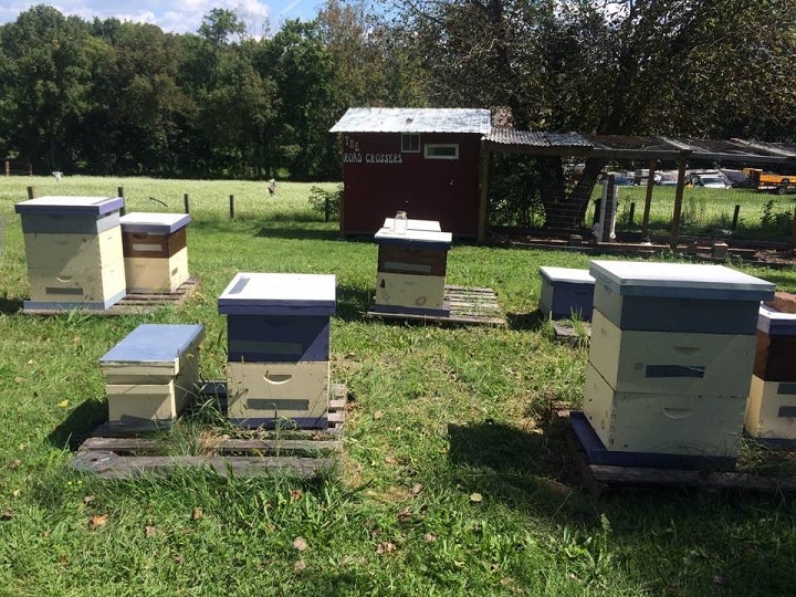 Bee Positive Honey FOundation