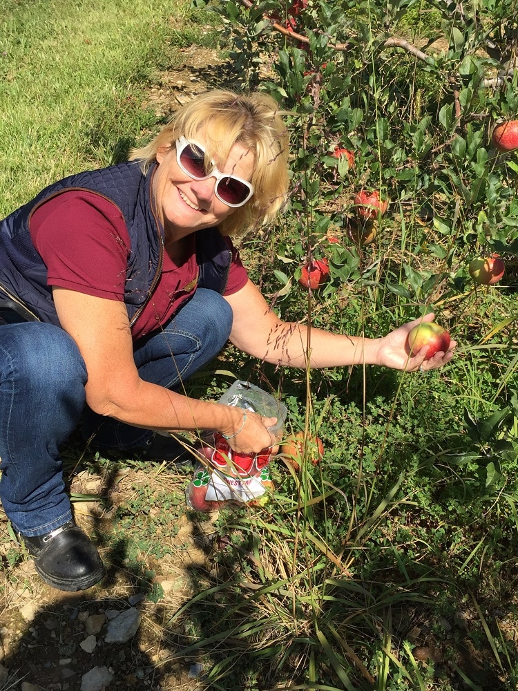 Savor Gettysburg