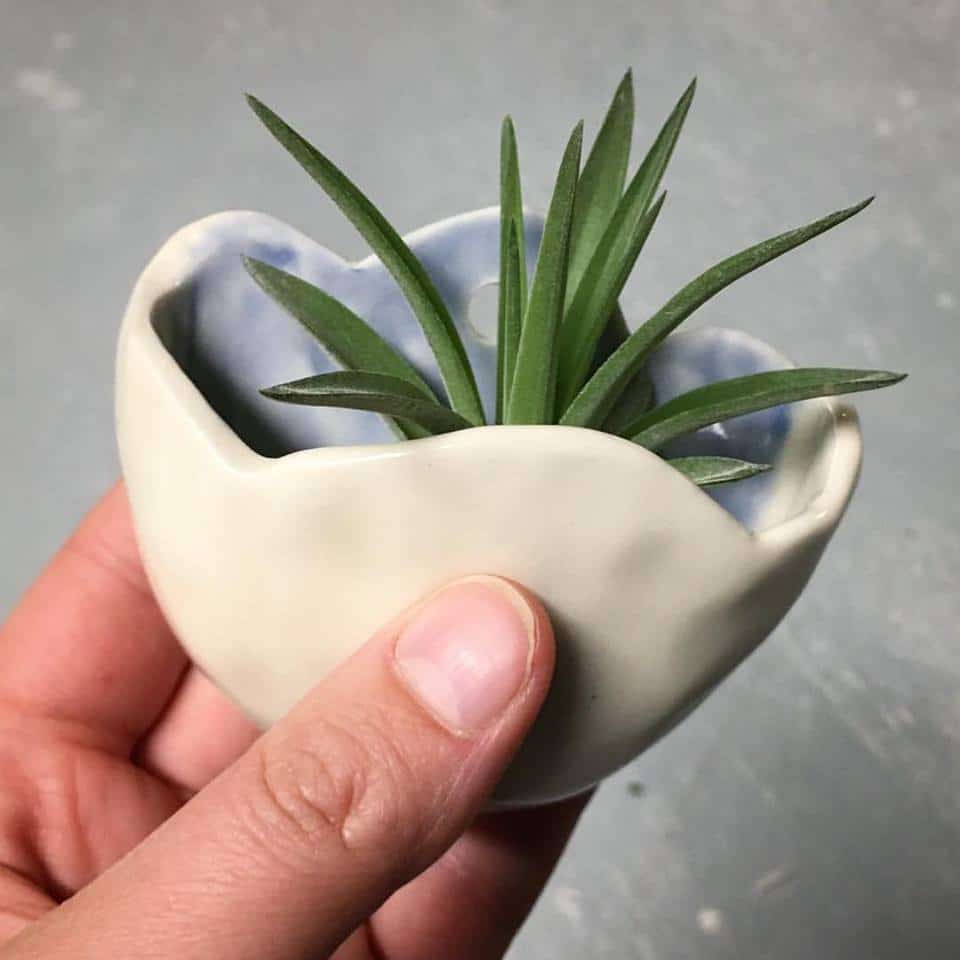 Bridget Briscione Ceramics