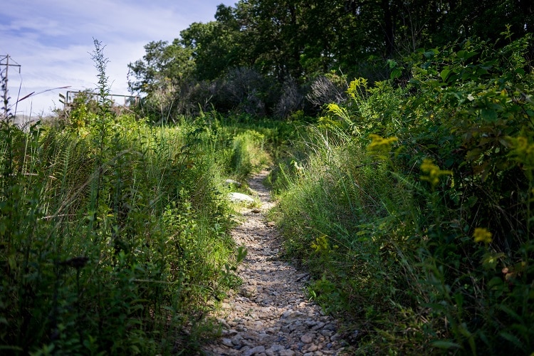 Parks in York County