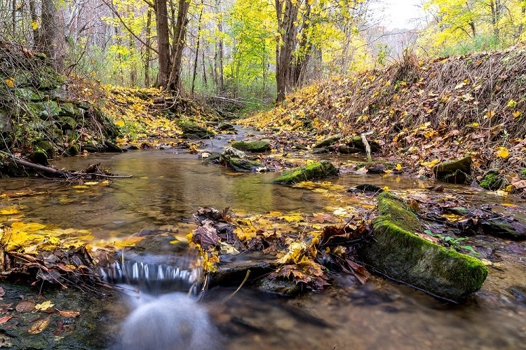 Parks in York County