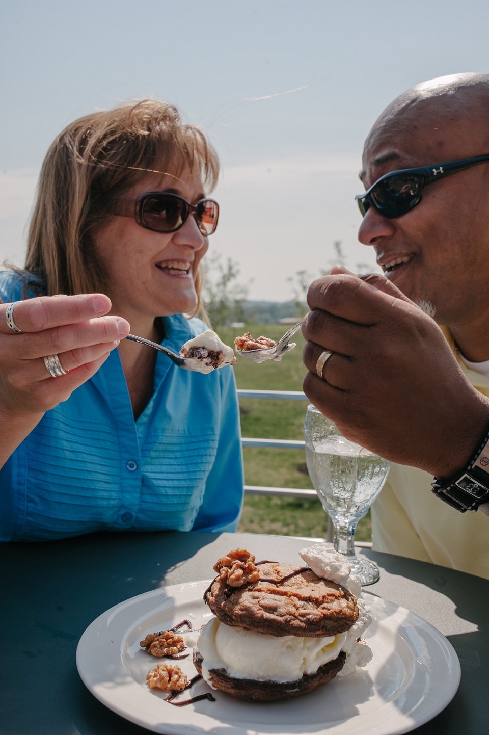 Ice Cream in York County