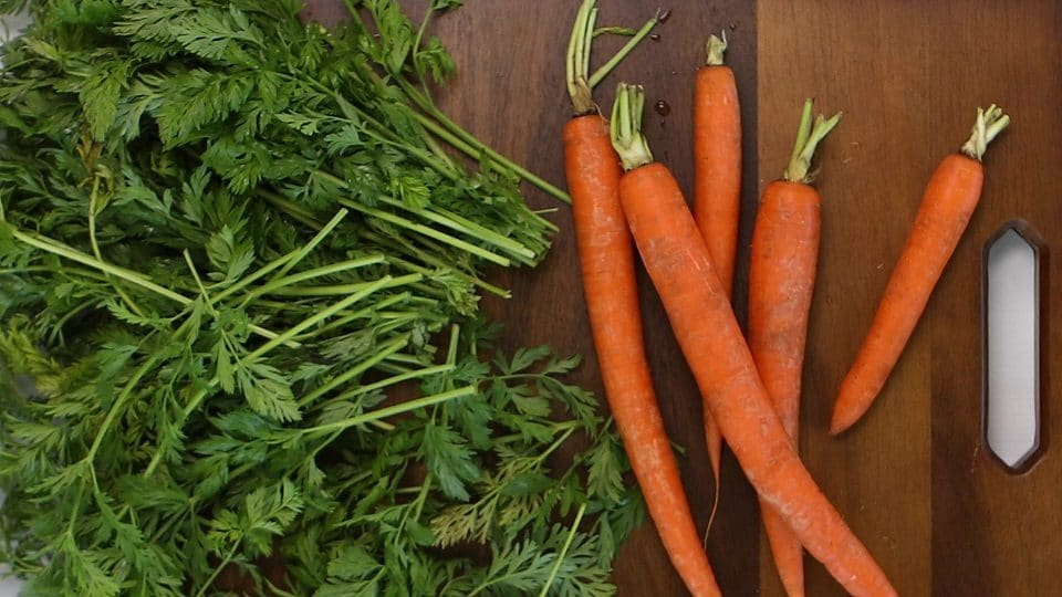 carrot top pesto