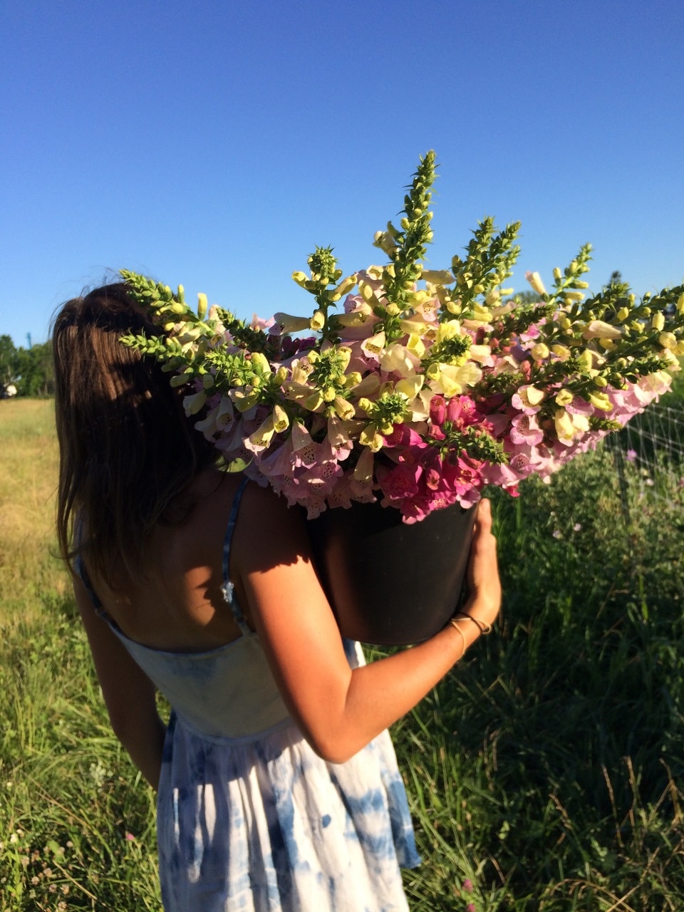 Bee Well Blooms