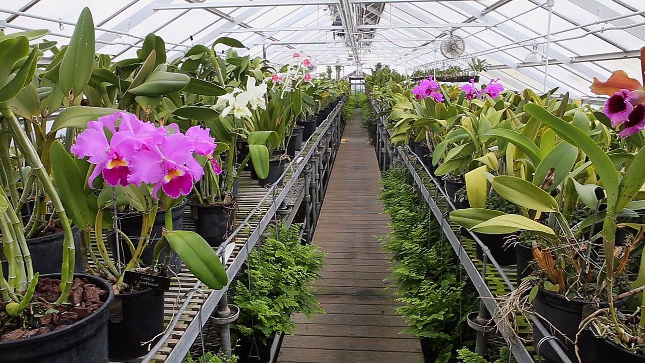 How to Take a Virtual Day-Trip to Kennett Square & Chadds Ford, PA