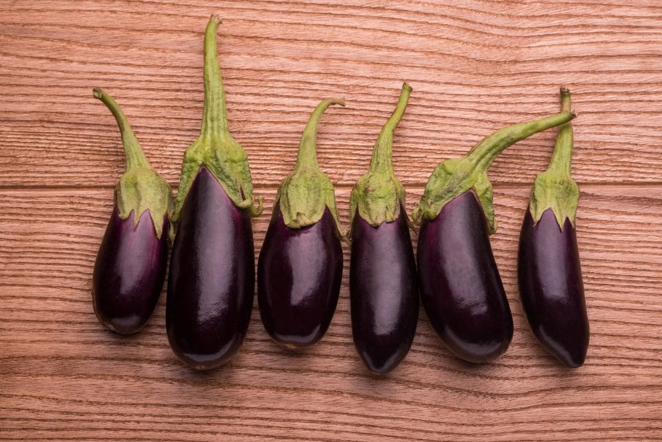 eggplant stew