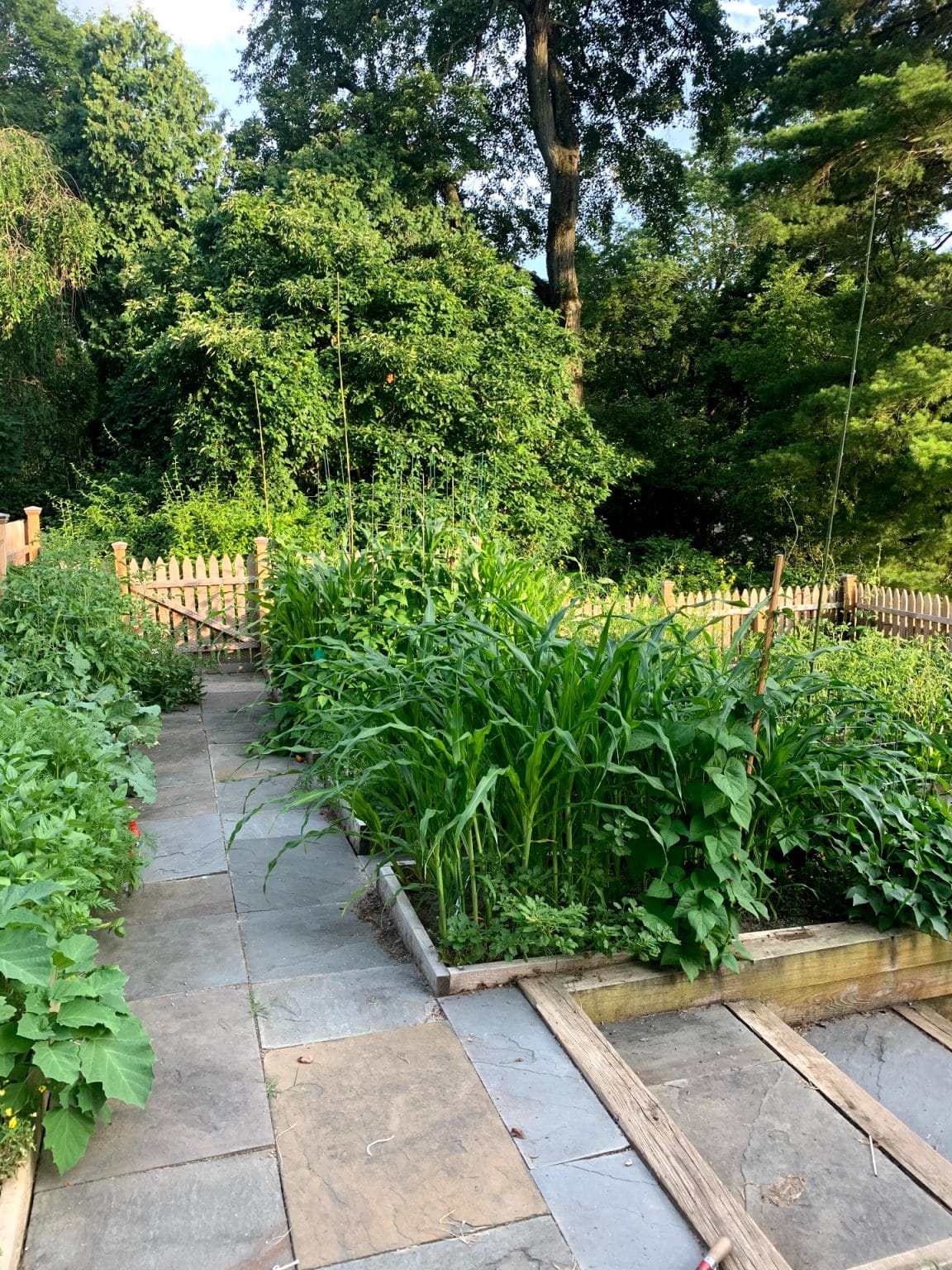 The Roughwood Seed Collection and Garden are a Living Plant Library