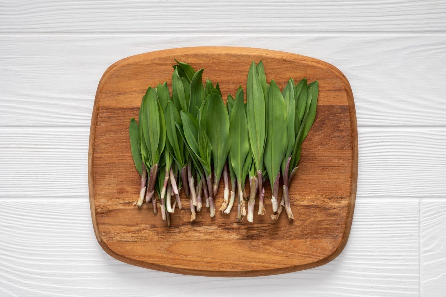 Foraged in Pennsylvania Ramps Wild Leeks Pennsylvania