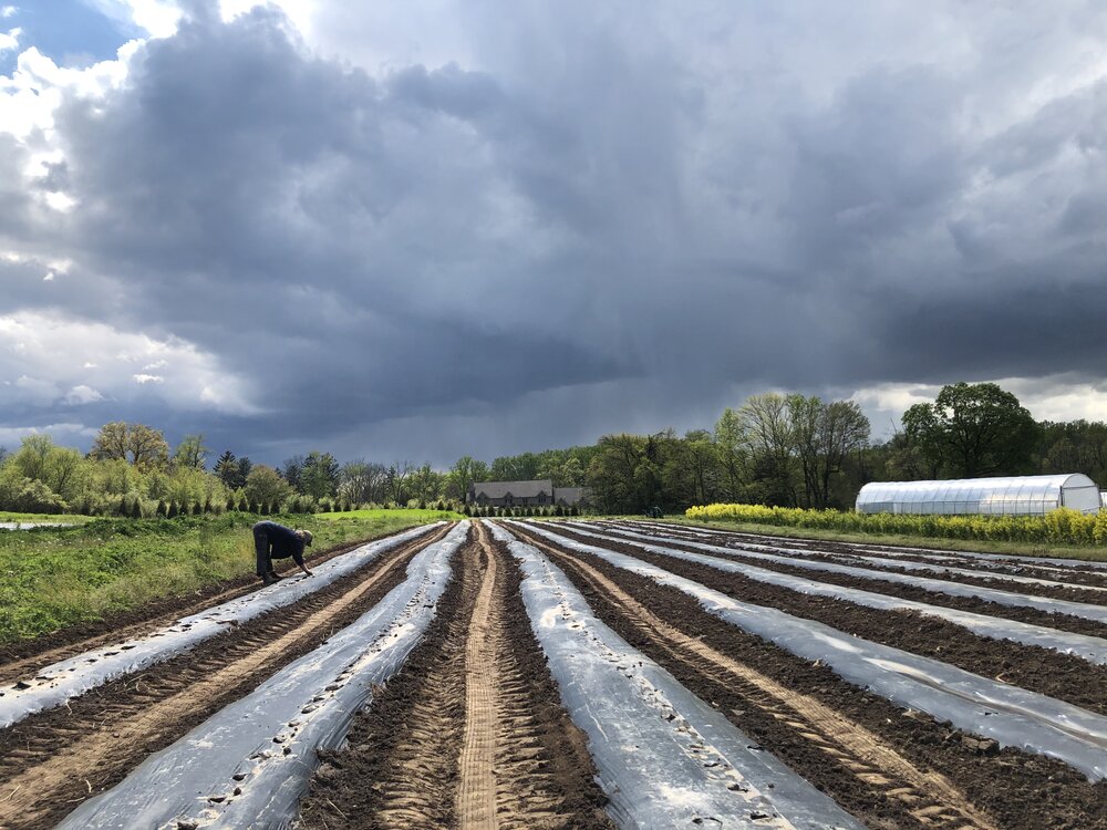 Roots to River Farm