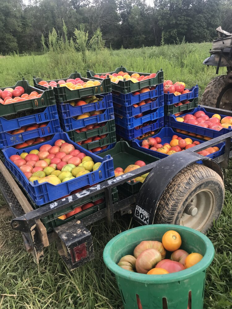 Roots to River farm