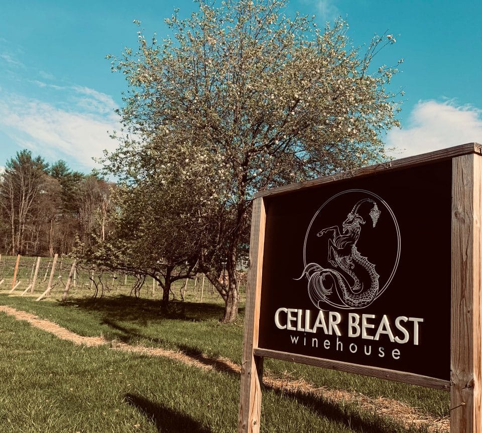 Cellar Beast