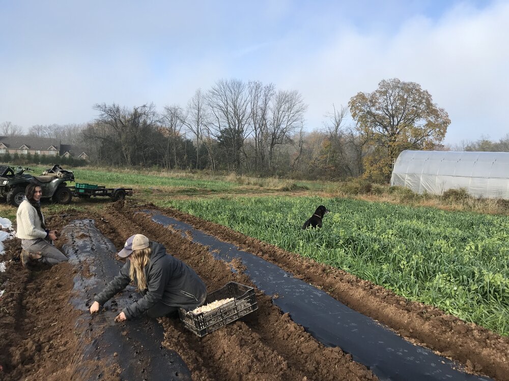 Roots to River Farm