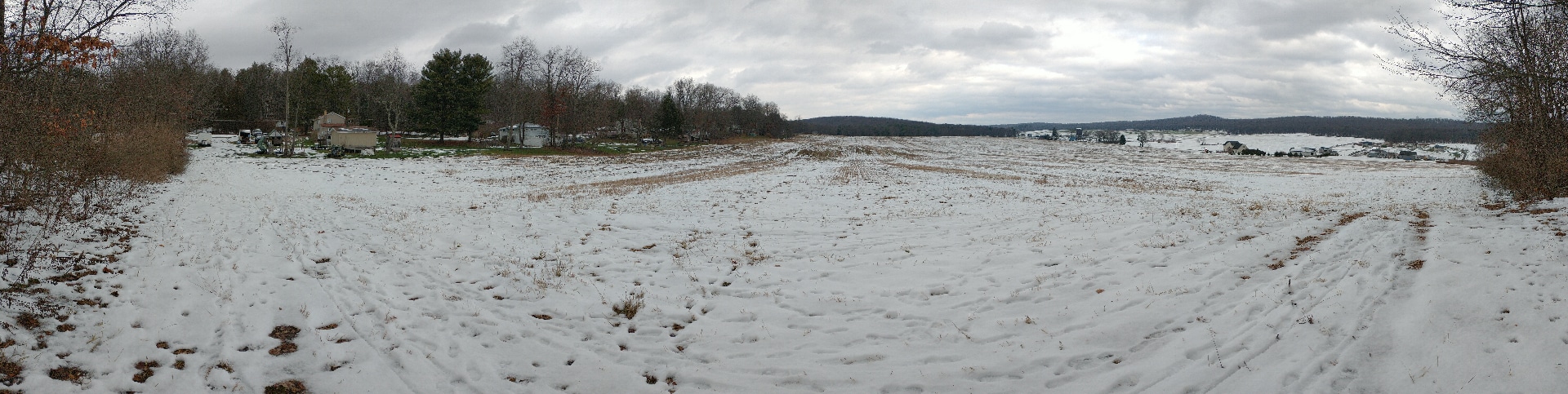 Odyssey Orchard panorama