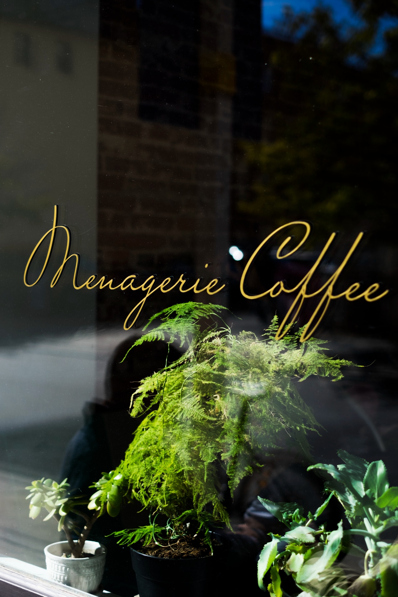 Menagerie Coffee