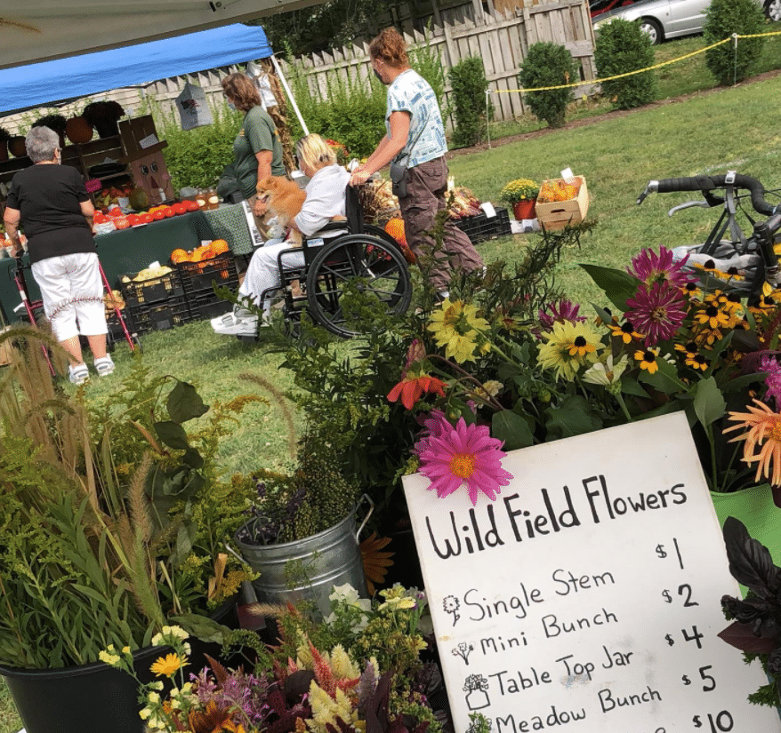 Wild Field Urban Farm