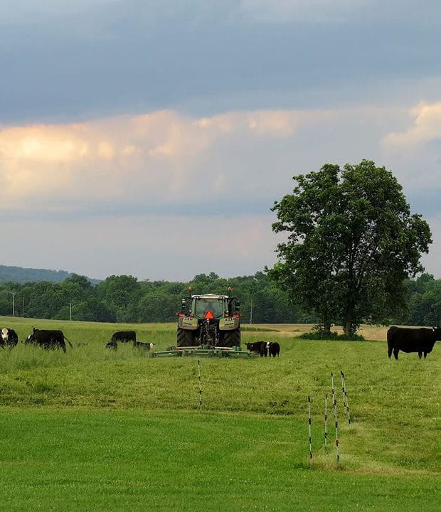 PA Beef Farmers