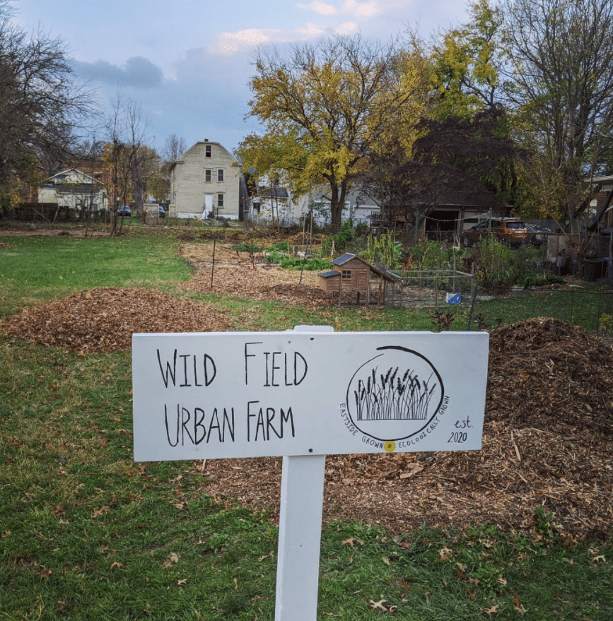Wild Field Urban Farm