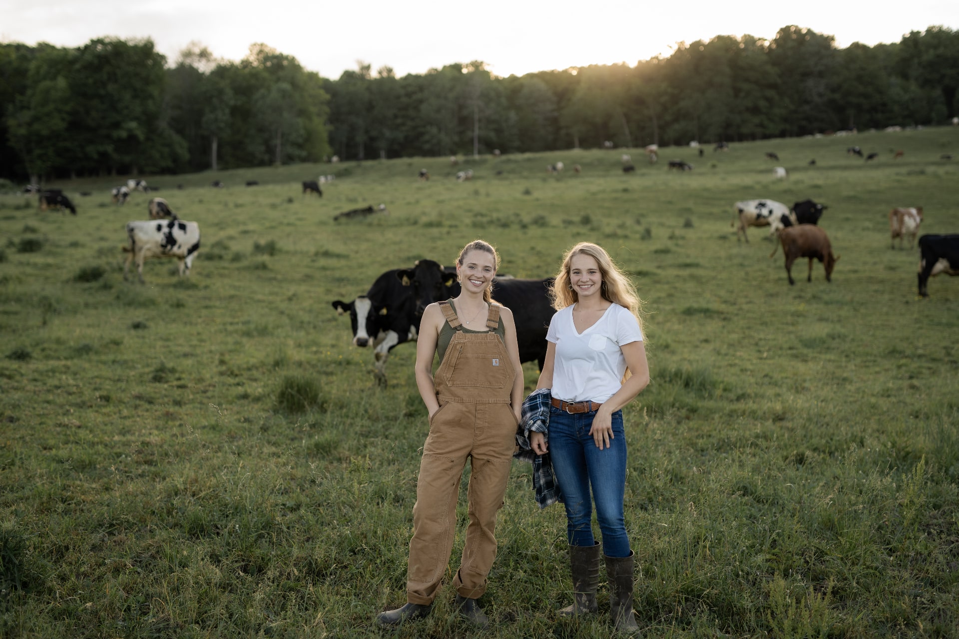 Painterland Sisters Yogurt