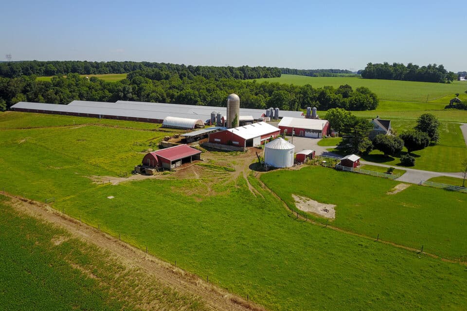 Pleasant View Farm