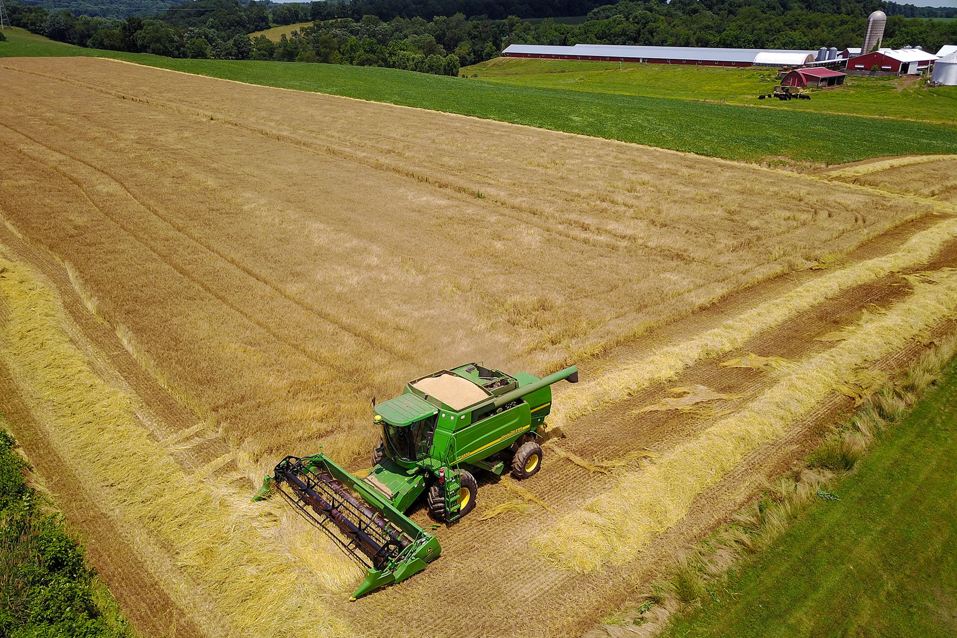 Pleasant View Farm