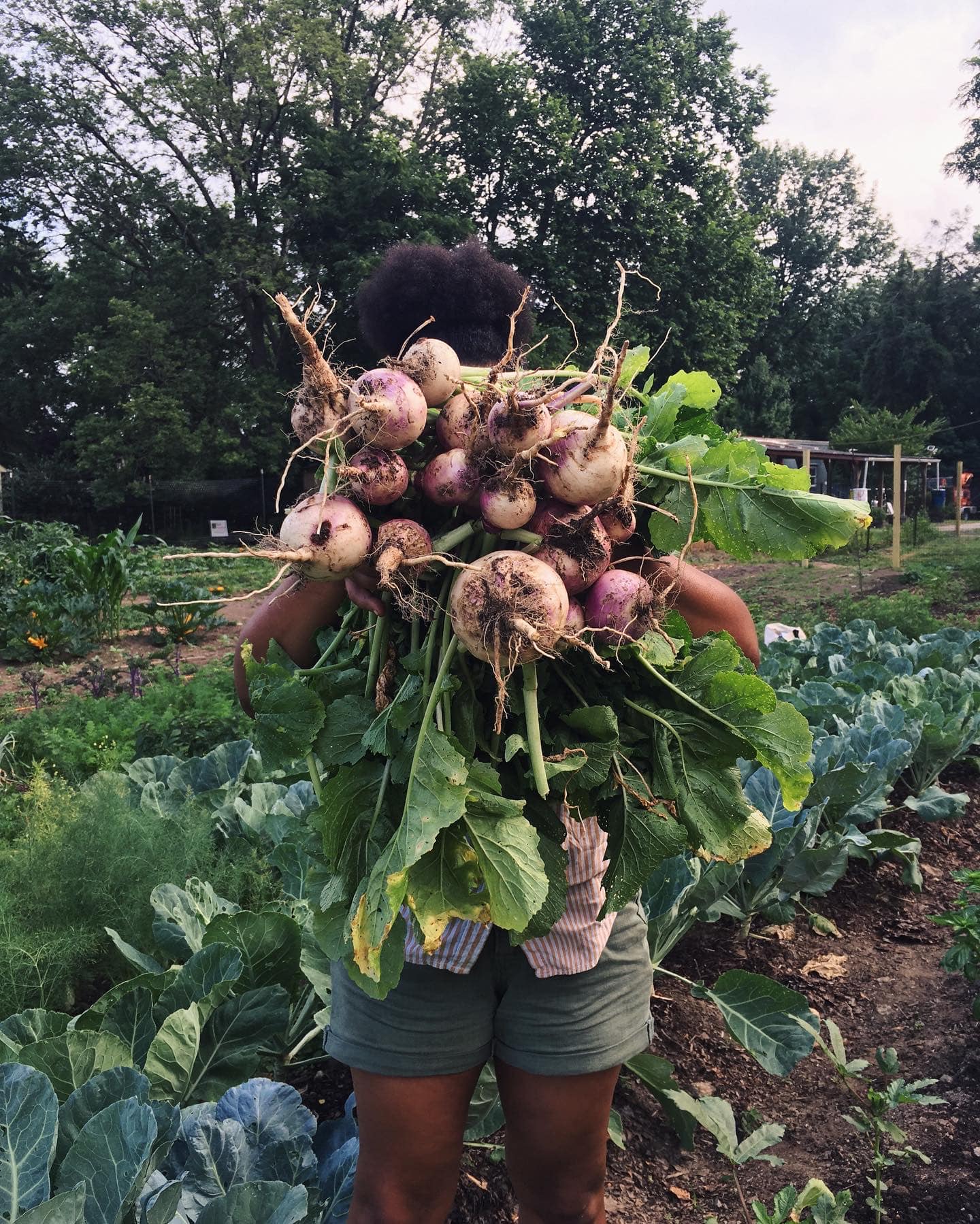 Philly Forests