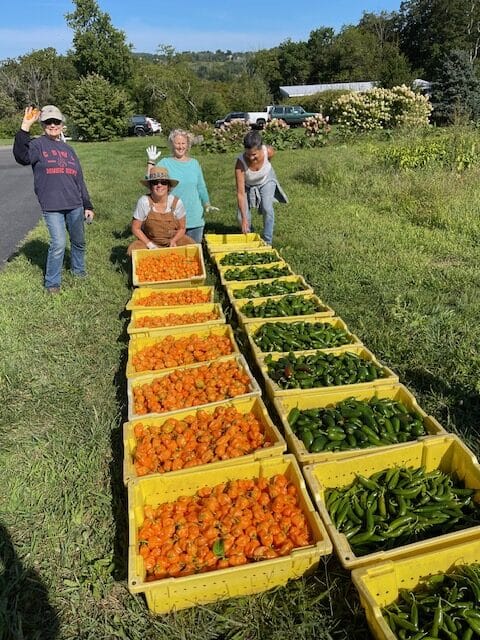 Rolling Harvest Food Rescue