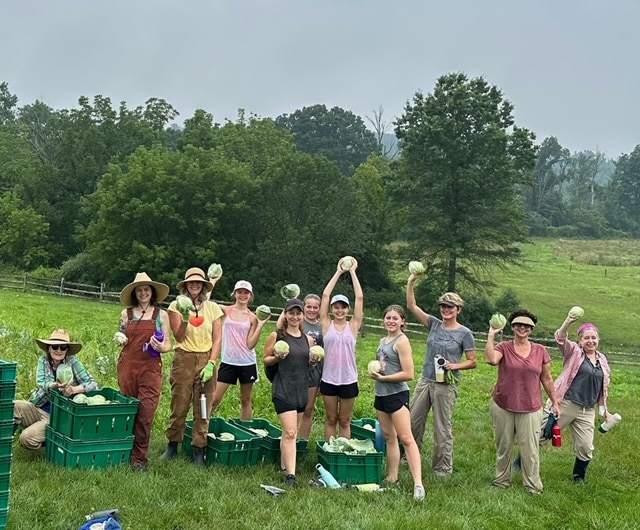 Rolling Harvest Food Rescue