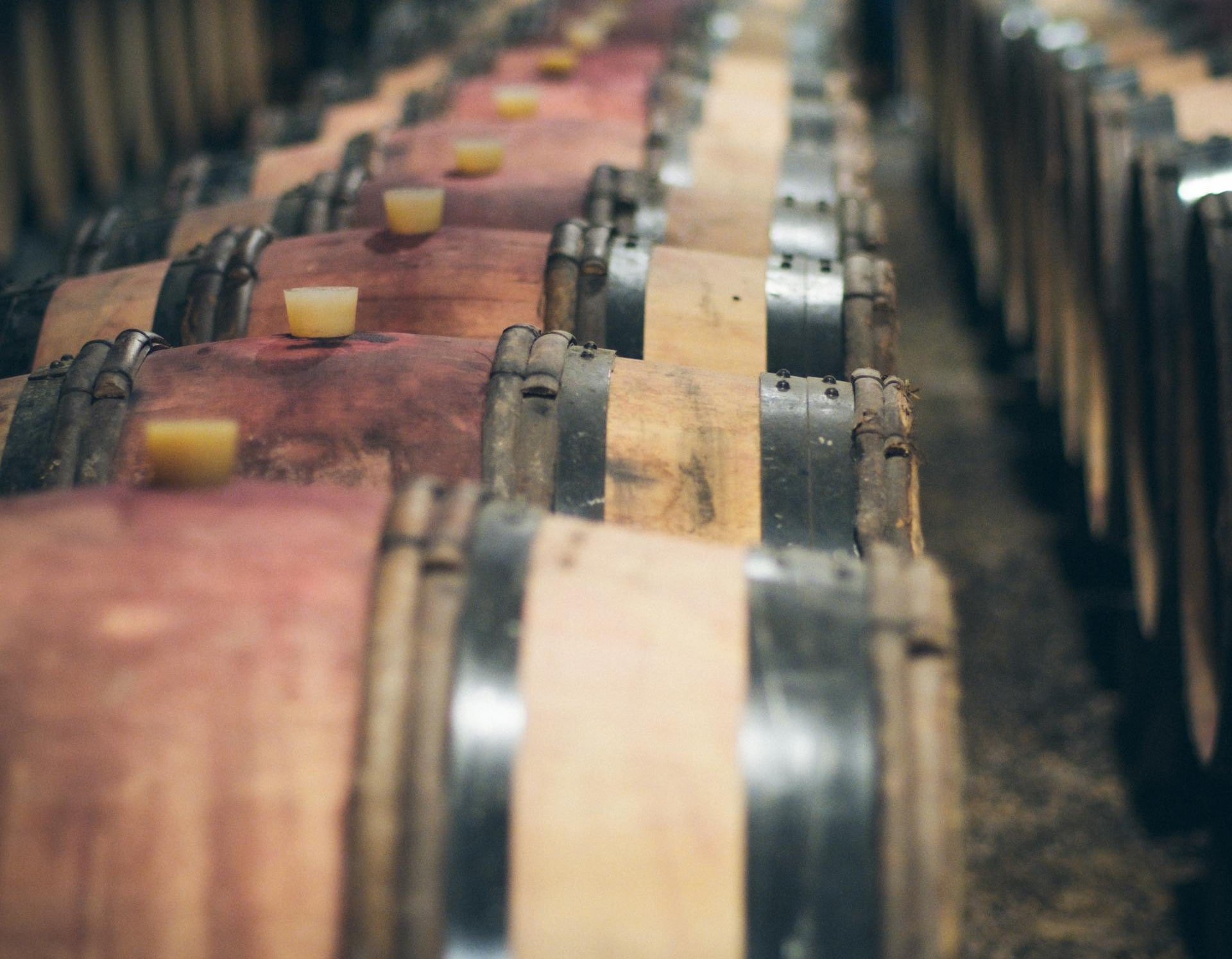 barrels in winemaking