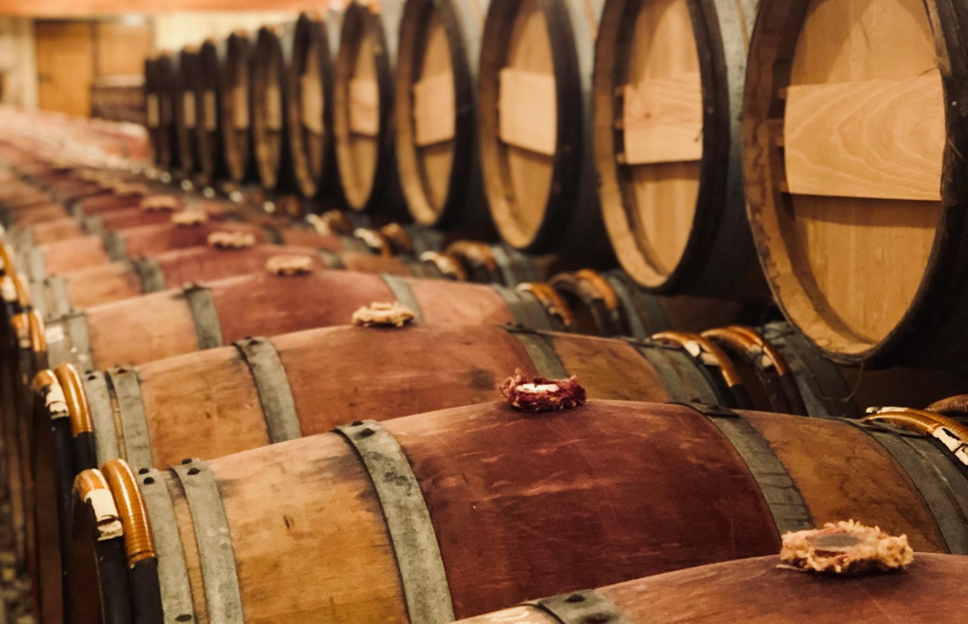 barrels in winemaking